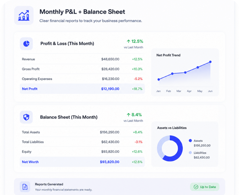 Monthly P&L + Balance Sheet